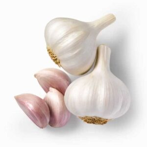 Fresh Organics Snow Mountain Garlic